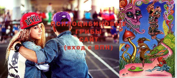 mix Богородицк