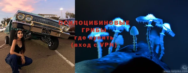 ПСИЛОЦИБИНОВЫЕ ГРИБЫ Беломорск